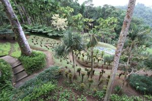 Vue jardin de Balata depuis la balade dans les arbres