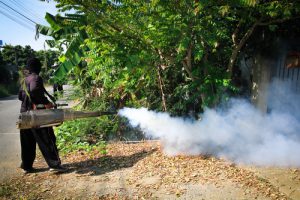 Le zika combattu aux Antilles-Guyane
